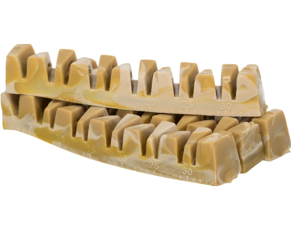 Denta Fun Veggie Tyggeben 22 cm (vegetabilsk) - stort vegansk tyggeben til hunde